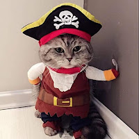 ideas de disfraces de Halloween para gatos