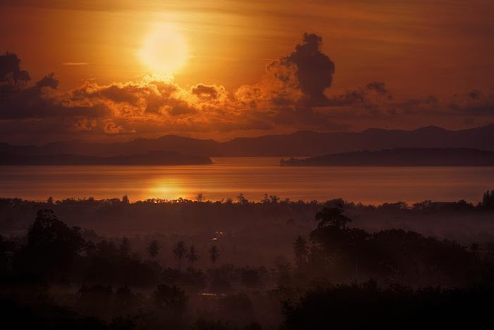 Gorgeous Golden Colour Beautiful Photos