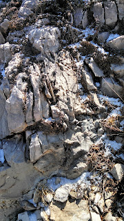 A photo of snow pockets in the rocks cracks of the Guadalupe Mountains.