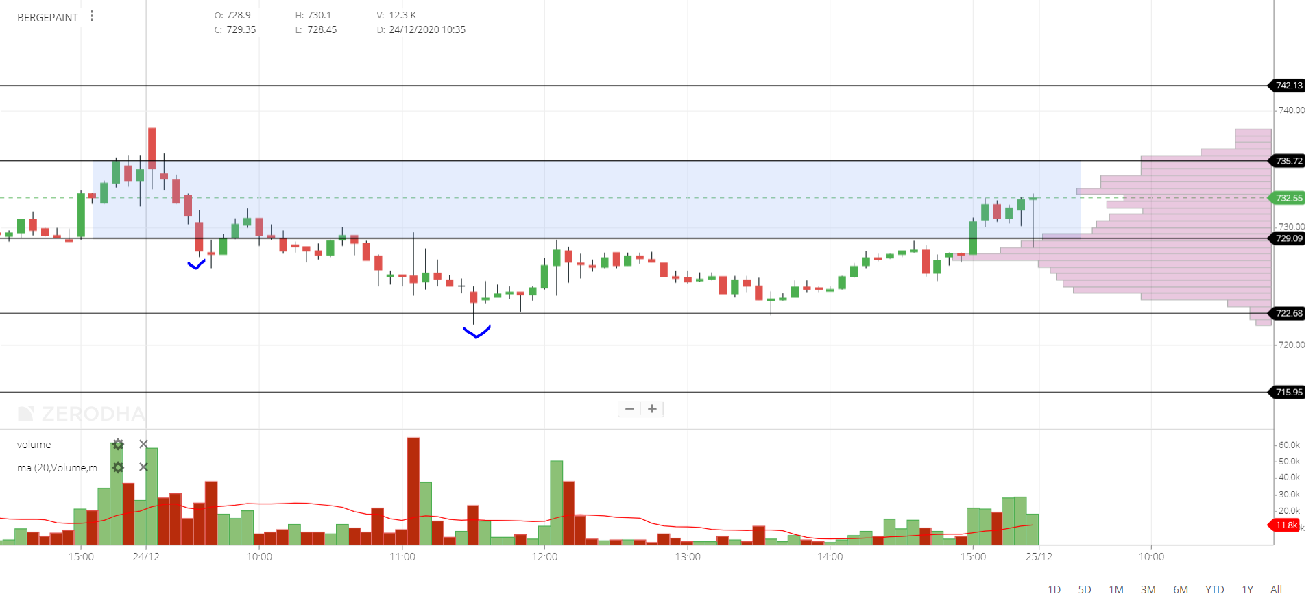 BERGERPAINT INTRADAY STOCK PERFORMANCE