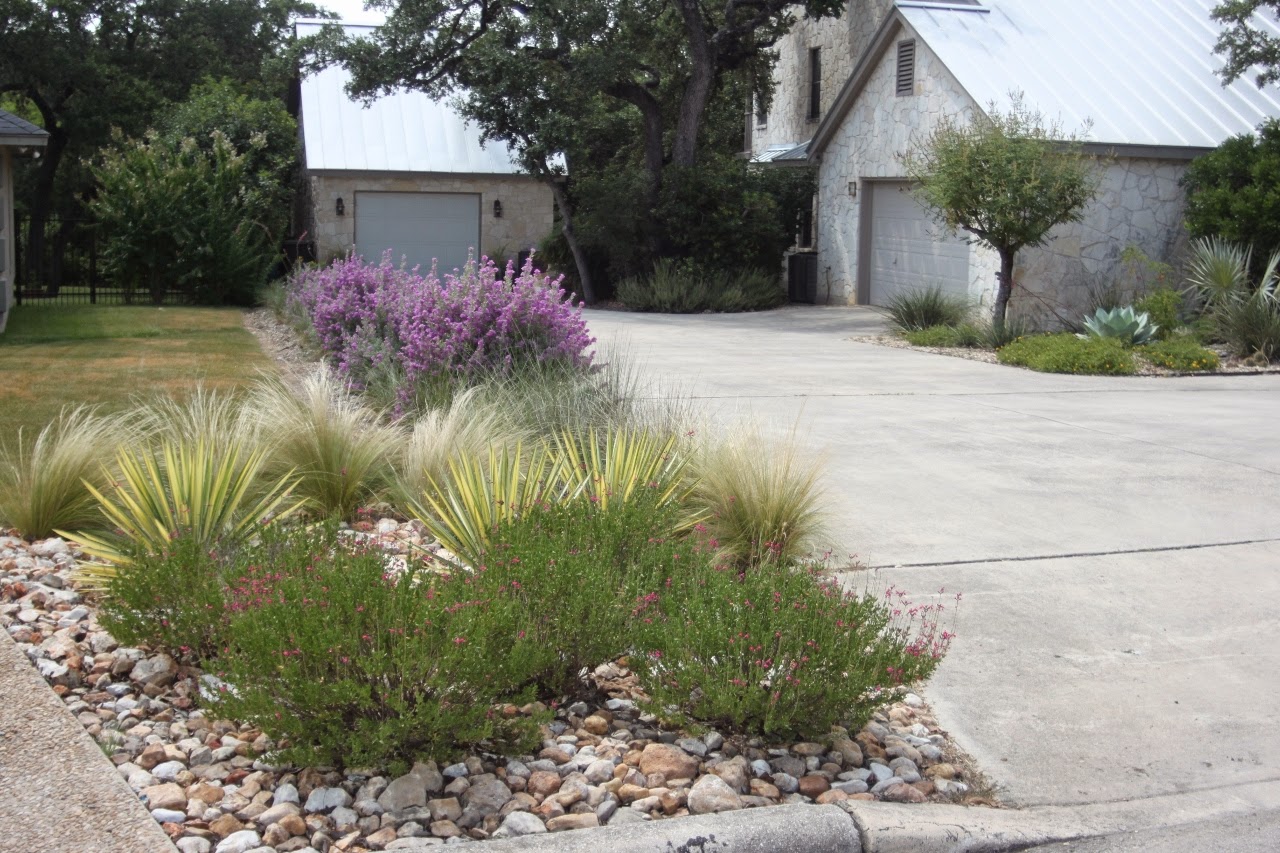  Deer: Gardening on the Rocks: The Driveway Landscaping one year update