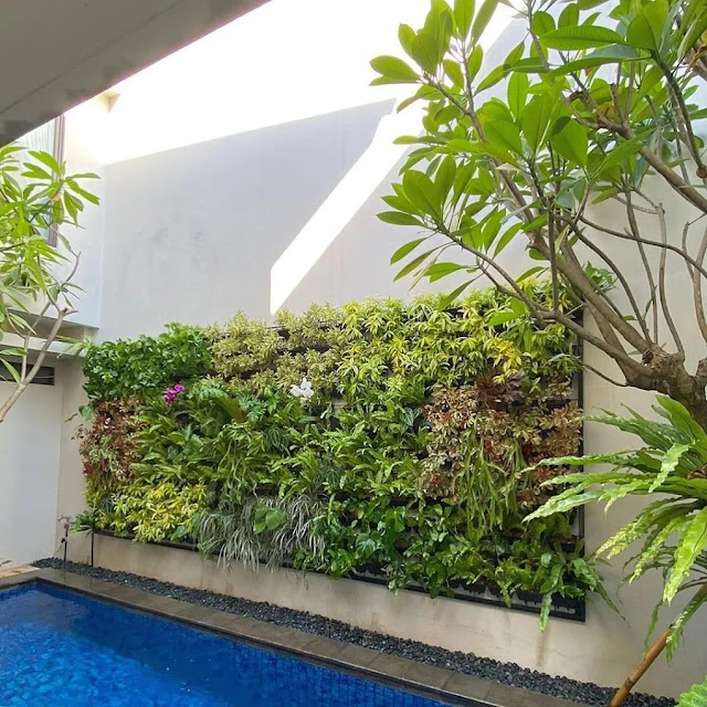 Vertical Garden Outdoor