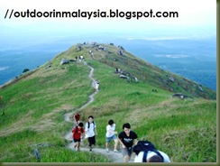 Broga (YG Cam) 131
