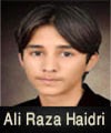 http://www.humaliwalayazadar.com/2013/12/ali-raza-haidri-audio-nohay-2007-to-2014.html