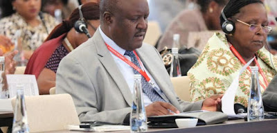 Pan-African Parliament participates in 146th IPU Assembly