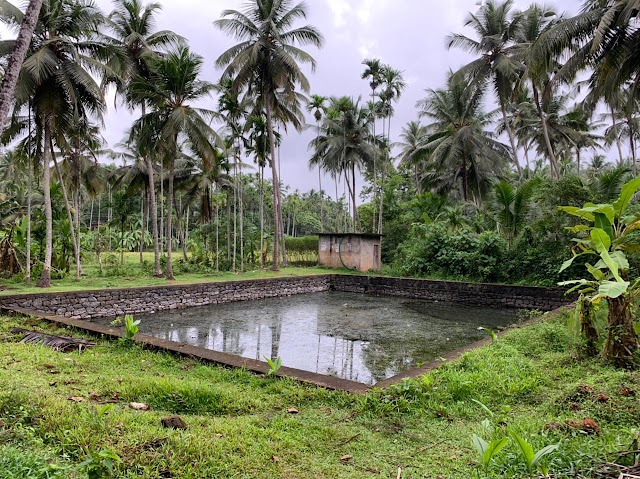 നരിക്കുനി തേലശ്ശേരി കുളം  നവീകരണത്തിന് സർക്കാർ മുപ്പത് ലക്ഷം രൂപ അനുവദിച്ചു :-