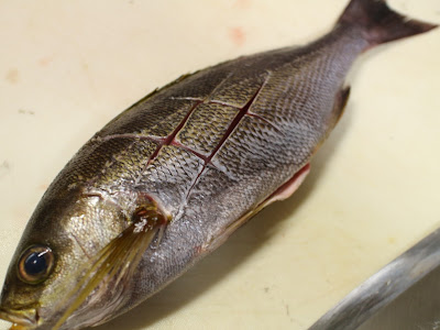 √100以上 鯛 切り身 塩焼き 皮なし 215180-鯛 切り身 塩焼き 皮なし