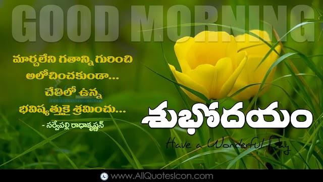 Happy Sunday Images Best Good Morning Messages Telugu Quotes Free Download