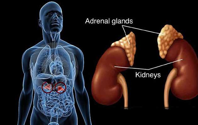 Kanker Adrenal