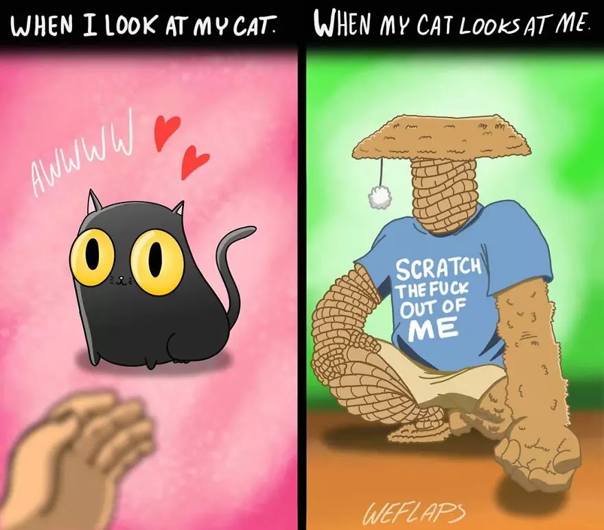 30 Hilariously Honest Comics That Depict What Living With A Cat Is Like