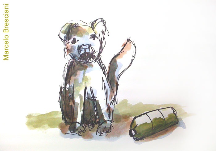 the-dog