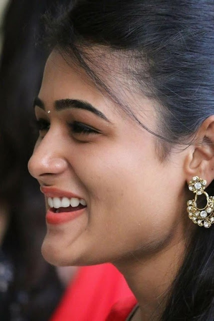 Shalini pandey cute photoshoot image gallery