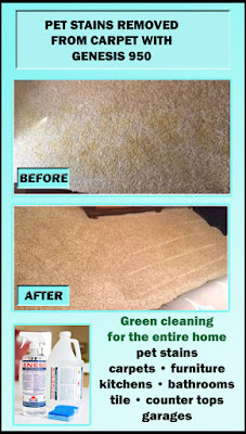 Clean Pet Urine From carpet