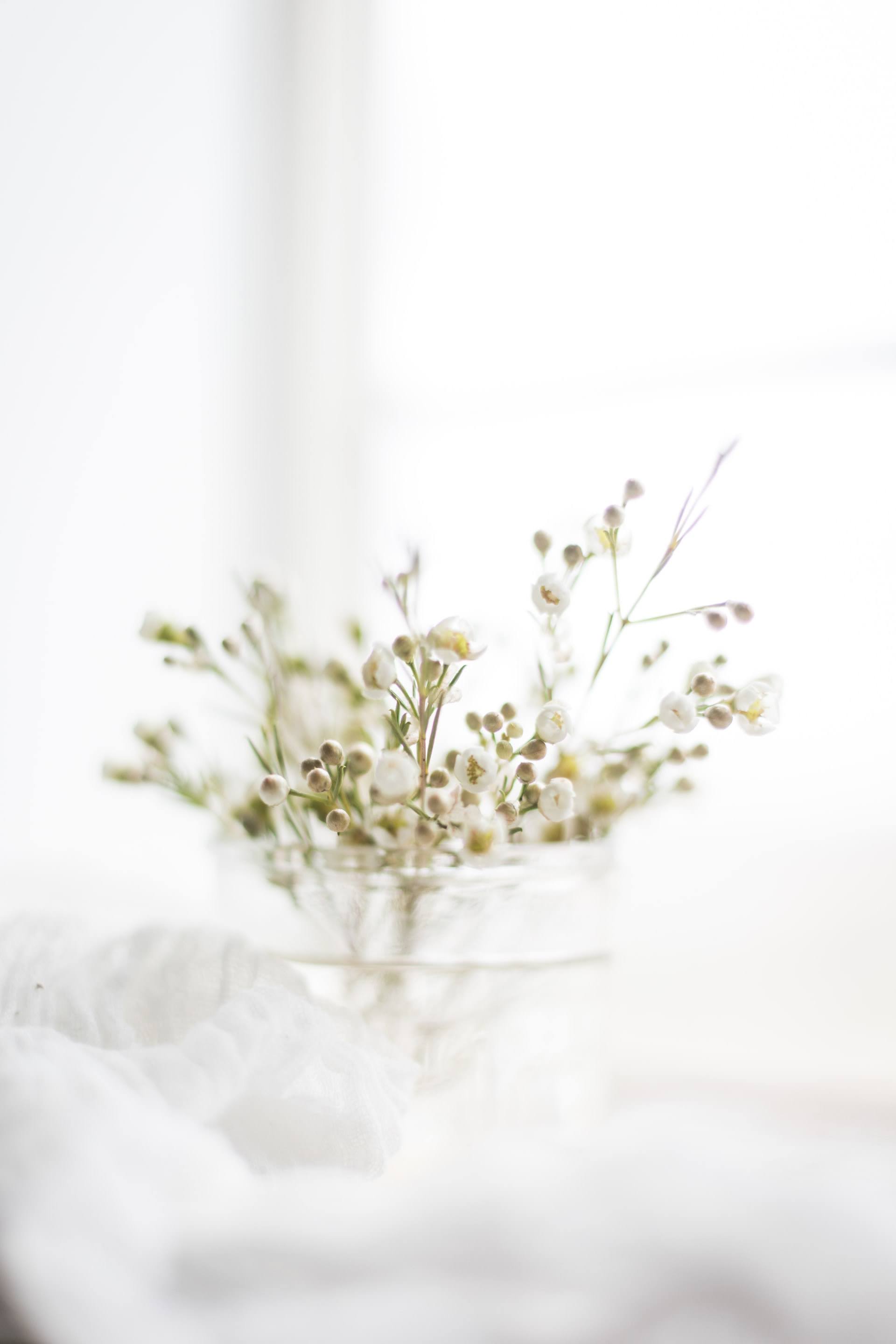 White Flowers in Clear Glass Vase | Photo by Sixteen Miles Out via Unsplash