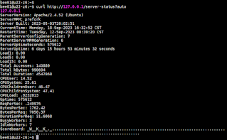 02-curl check apache status