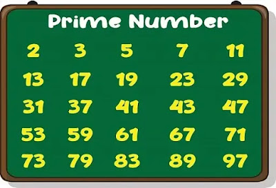 Prime Numbers