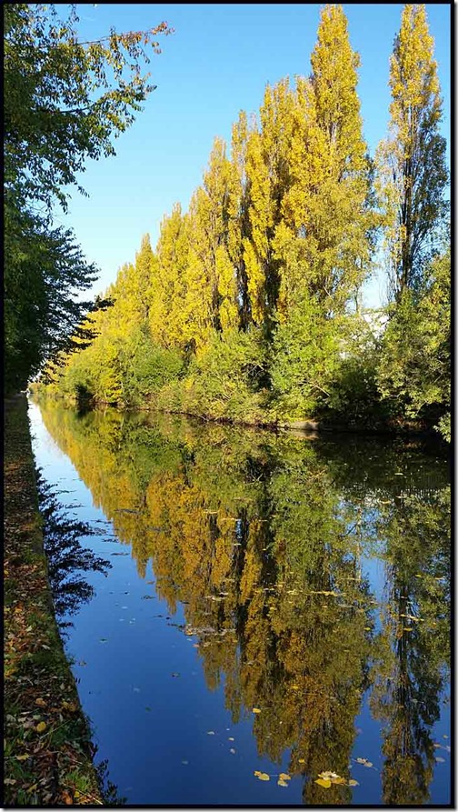 2901canal1