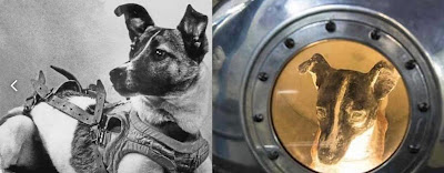 Laika, la perra que fue lanzada al espacio y nunca volvió