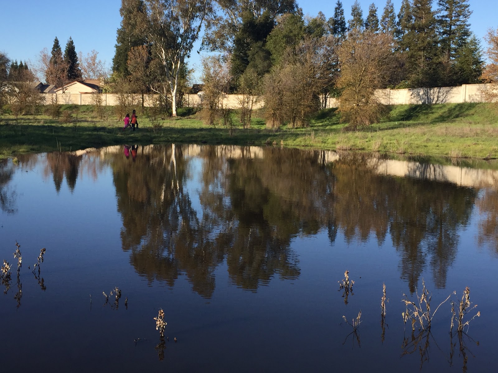 RV Crazy?: Laguna Creek Trail: Elk Grove, California