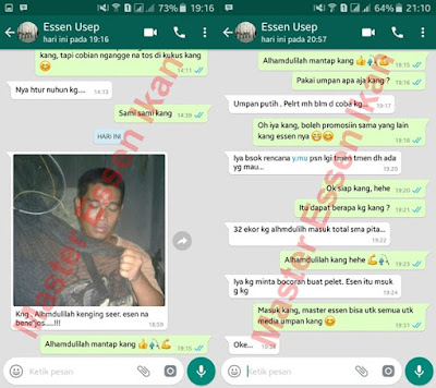 Testimoni Master Essen Katilayu Ikan Mas