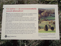 Using native grasses - Royal Botanic Gardens, Sydney, Australia