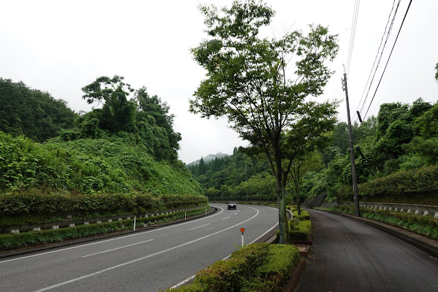 橋を渡りここから遊歩道をとっとり花回廊へ向かいます