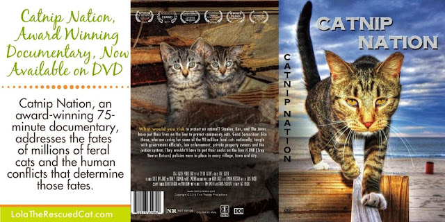 catnip nation dvd