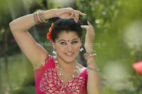 Tapsee, unseen, hot, and, spicy, photos