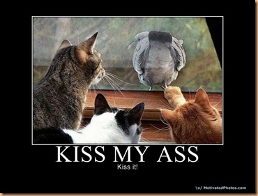 633583948501966593-KISSMYASS