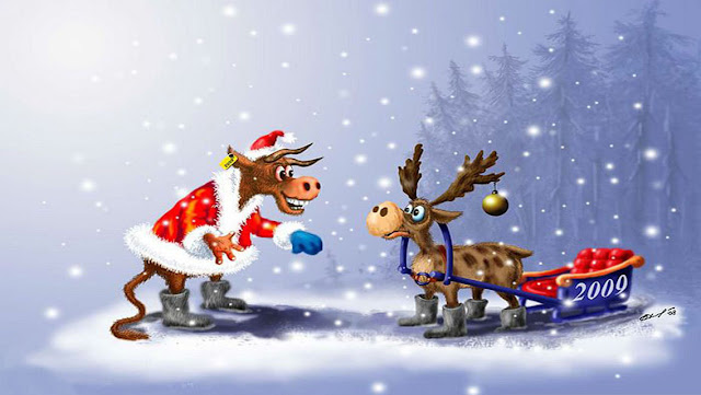 Free Download Funny Christmas HD Wallpapers for iPhone 5 