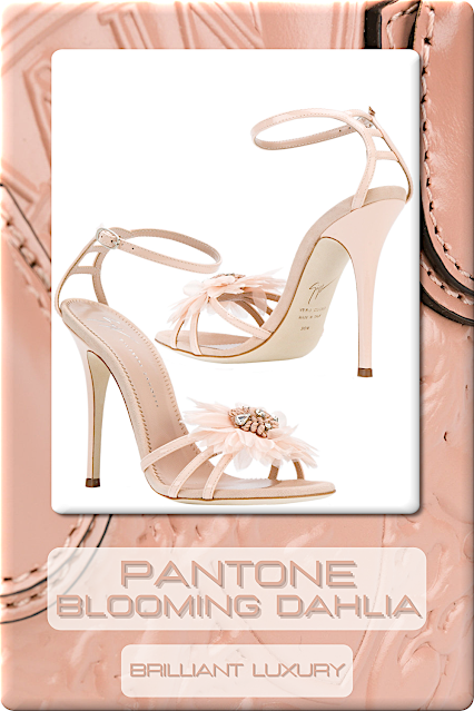 ♦Pantone Fashion Color Blooming Dahlia #pantone #fashioncolor #pink #shoes #bags #brilliantluxury