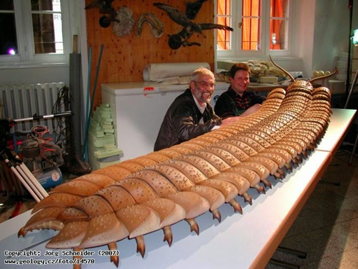 Modelo de Arthropleura.