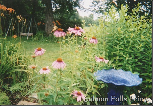 SCAN0390