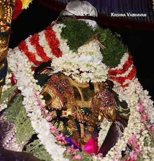 Satrumurai,Mylapore,Mylai,Sri Peyazhwar, ,purappadu,Thiruvallikeni,,Sri Parthasarathy Perumal,Manavala Maamunigal,Varavaramuni, Temple, 2017, Video, Divya Prabhandam,Utsavam,