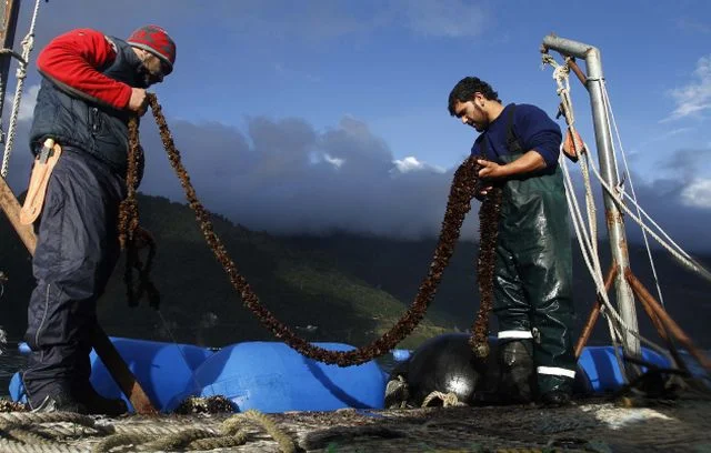 Pescadores artesanales