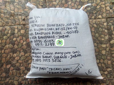 Benih padi yang dibeli   SUHARA Bandung, Jabar.  (Setelah packing karung).