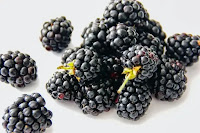 10 Manfaat dari buah blackberry yang perlu kita ketahui