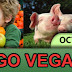 Steve's Guest Blog: World Go Vegan Week