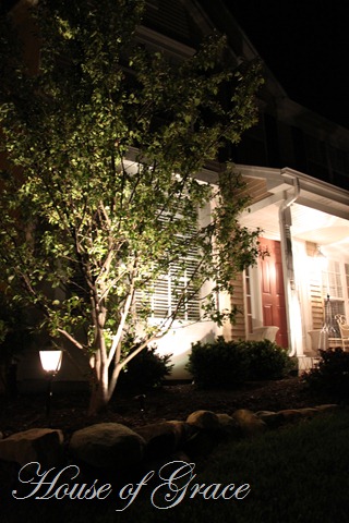 2011 05 17_5149