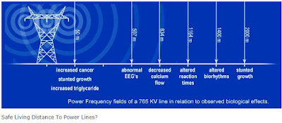 Power Lines Cancer
