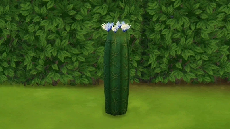 The Sims 4 Outdoor Plants