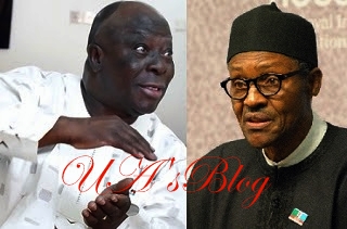 Buhari is a civilian autocrat, says Adebanjo