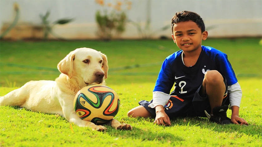 children and pets, small pets at home, good pets, small animals for pets, small pets