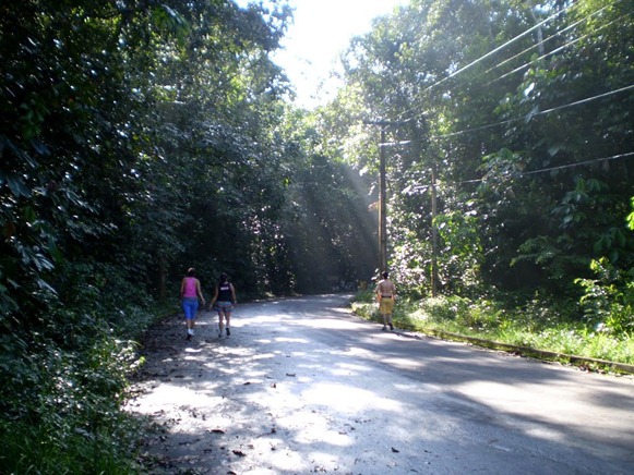 Parque Estadual do Utinga , Belém do Parà, foto: Odilson Sà