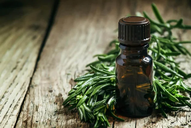 Top 10 des avantages pour la santé de l'huile de théier