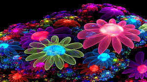 HD Wallpapers of Flowers, Full HD 1080p Desktop Backgrounds for PC & Mac, Laptop, Tablet, Mobile Phone.