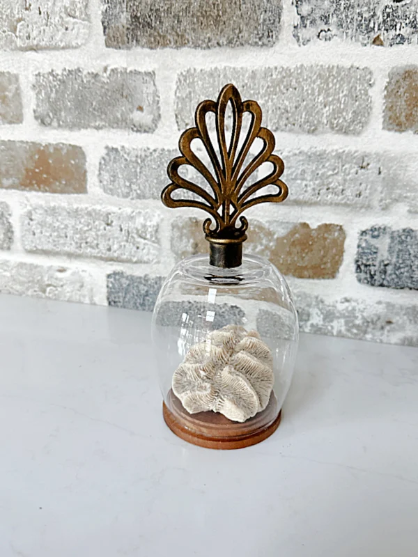 glass cloche with finial and coral inside