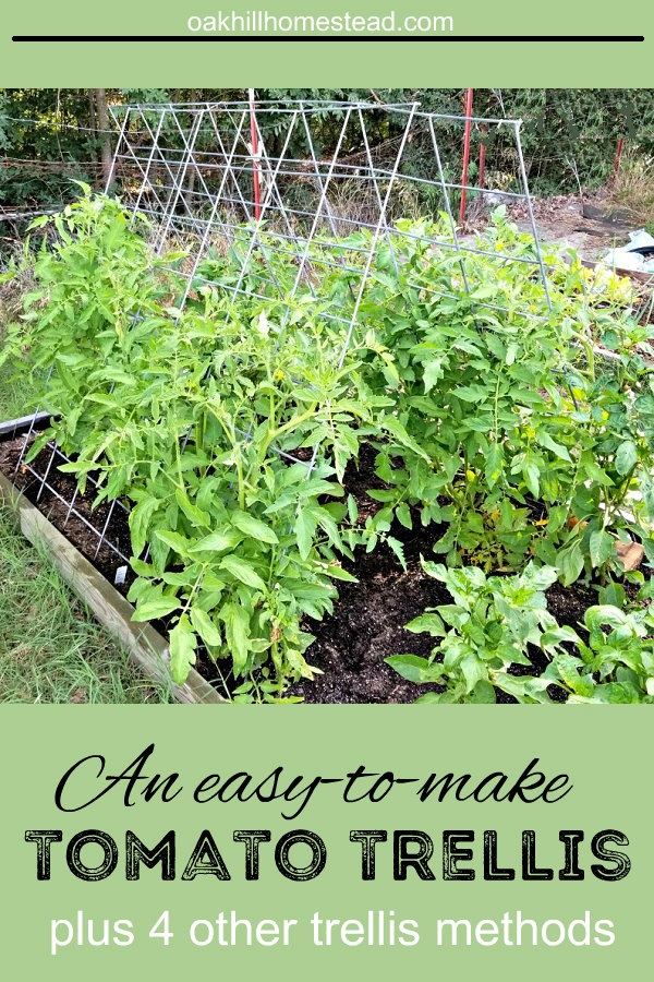 Best Tomato Trellis Ideas to Support Tomato Plants - Oak Hill