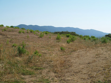 Serralada del Corredor i Collsacreu des de la Creu de Rupit