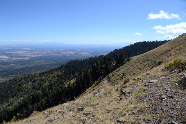 meadow with view to the east